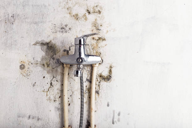 Best Office Mold Removal Services  in Pennville, PA