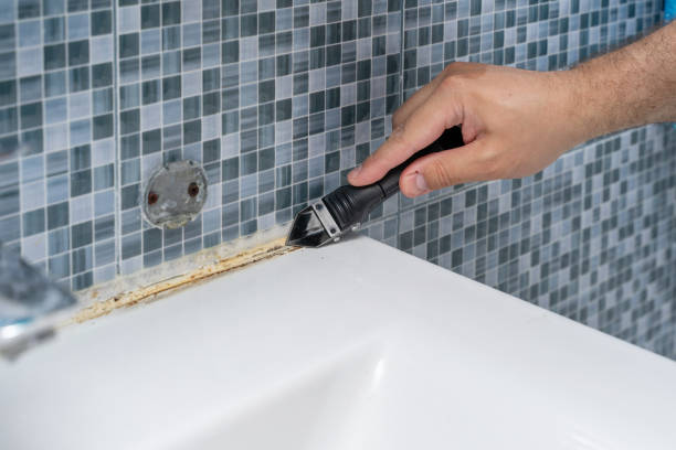 Best Fast Mold Removal  in Pennville, PA
