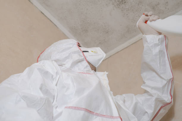 Best Mold Testing  in Pennville, PA