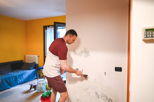 Best Home Mold Removal  in Pennville, PA